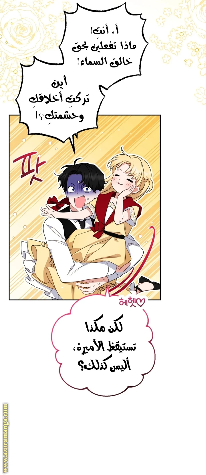الصفحة 27