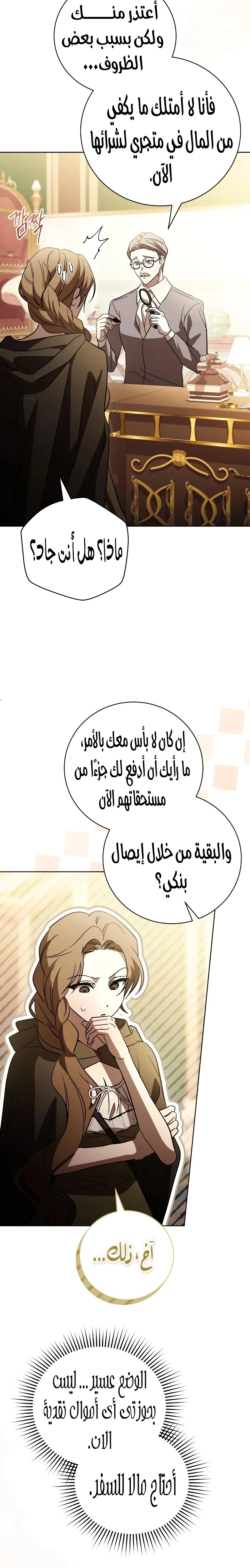الصفحة 29
