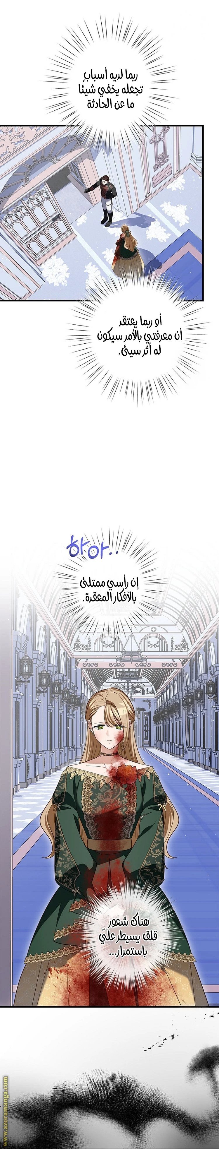 الصفحة 17