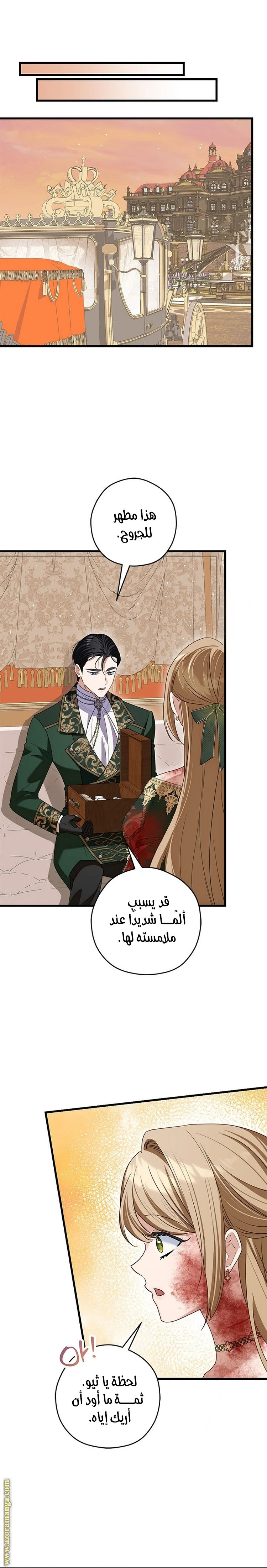 الصفحة 25