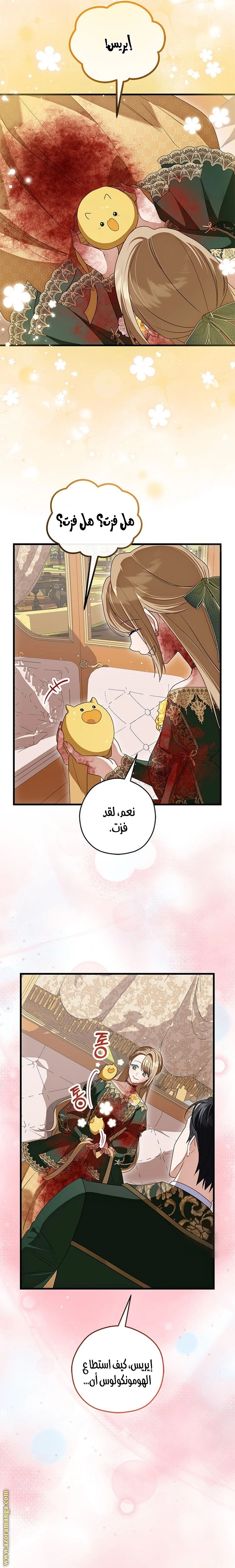 الصفحة 29