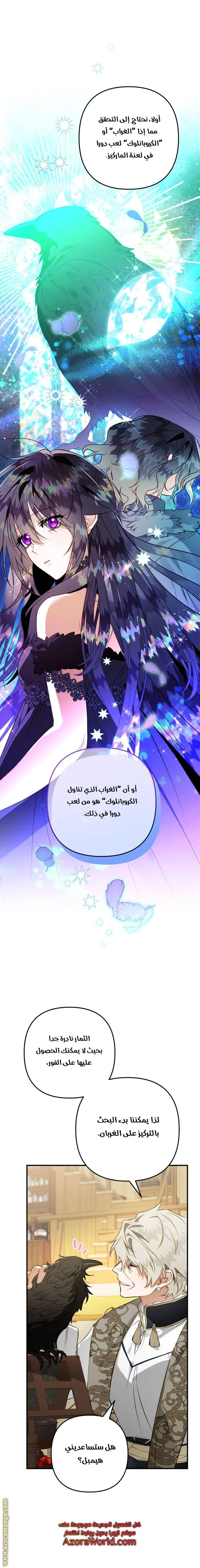 الصفحة 17