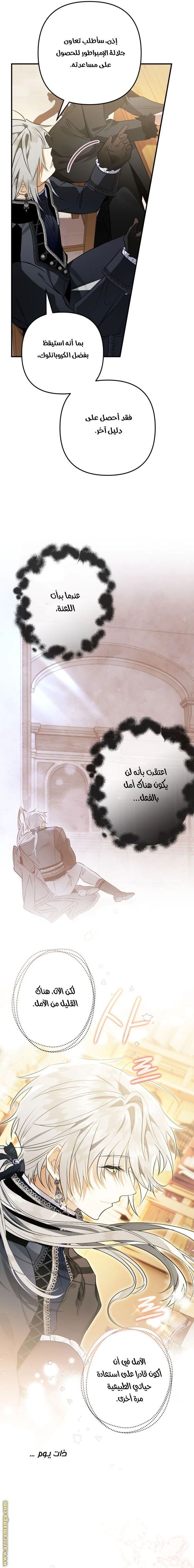 الصفحة 19
