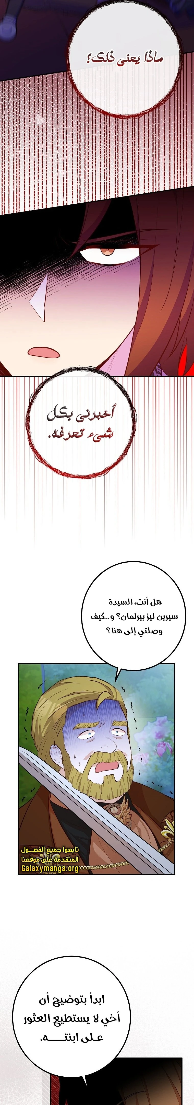 الصفحة 17