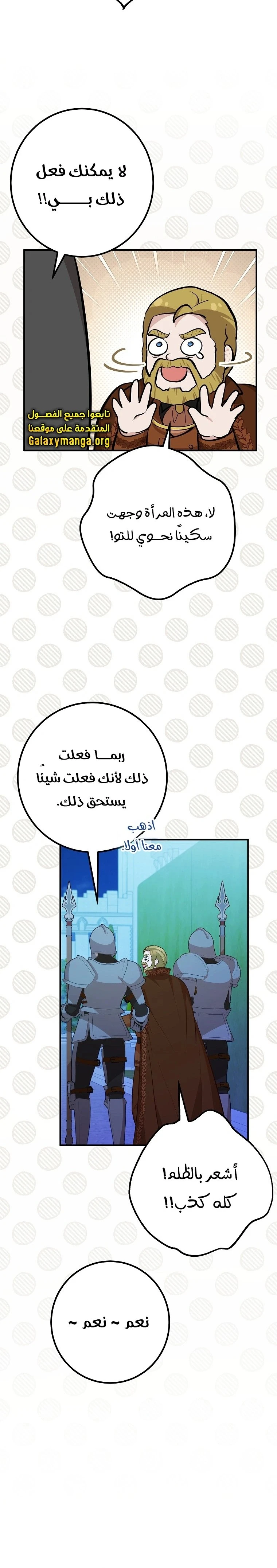 الصفحة 24