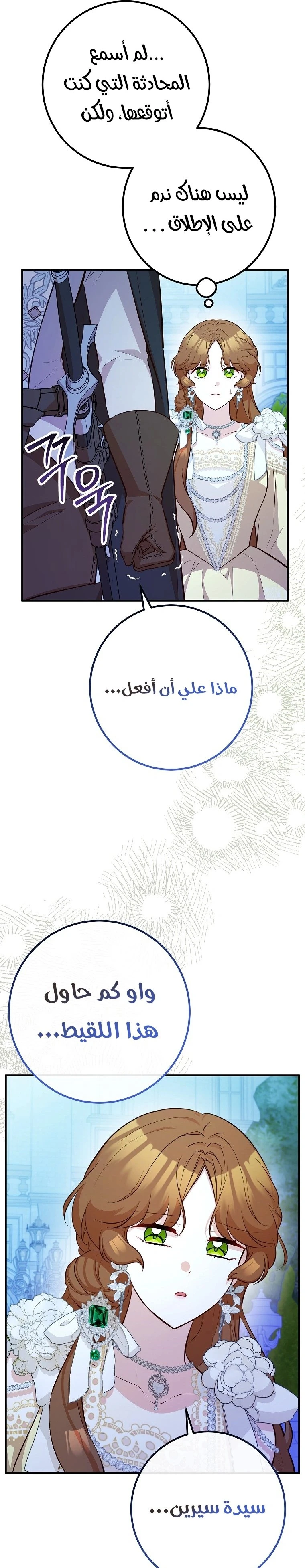 الصفحة 25
