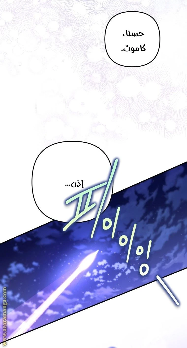 الصفحة 51