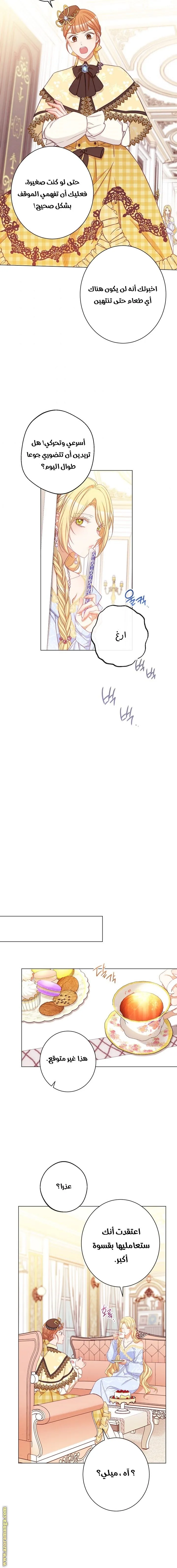 الصفحة 8