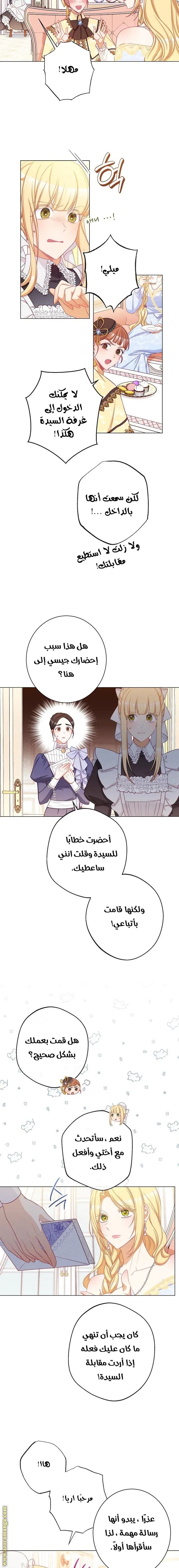 الصفحة 11