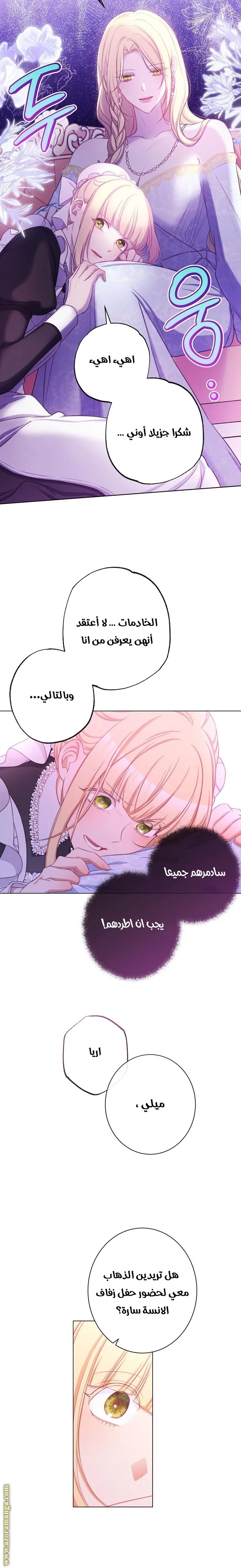 الصفحة 17