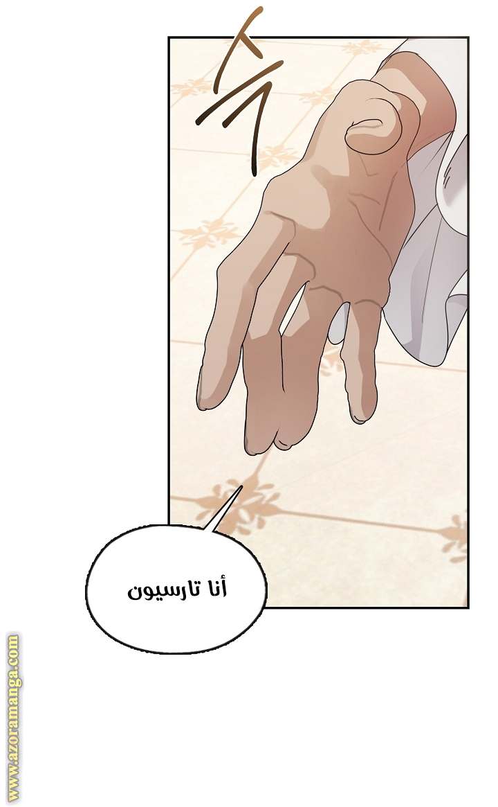 الصفحة 19