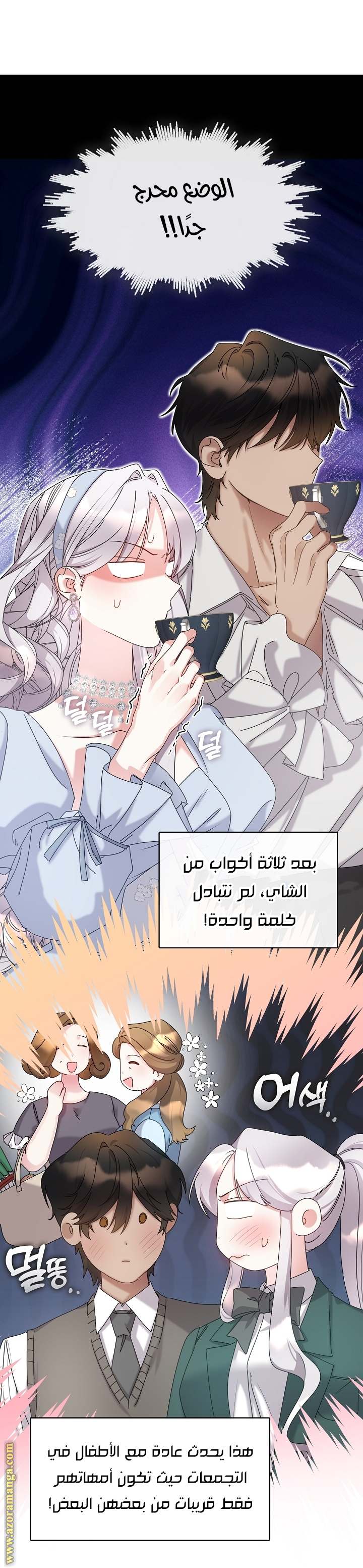 الصفحة 27