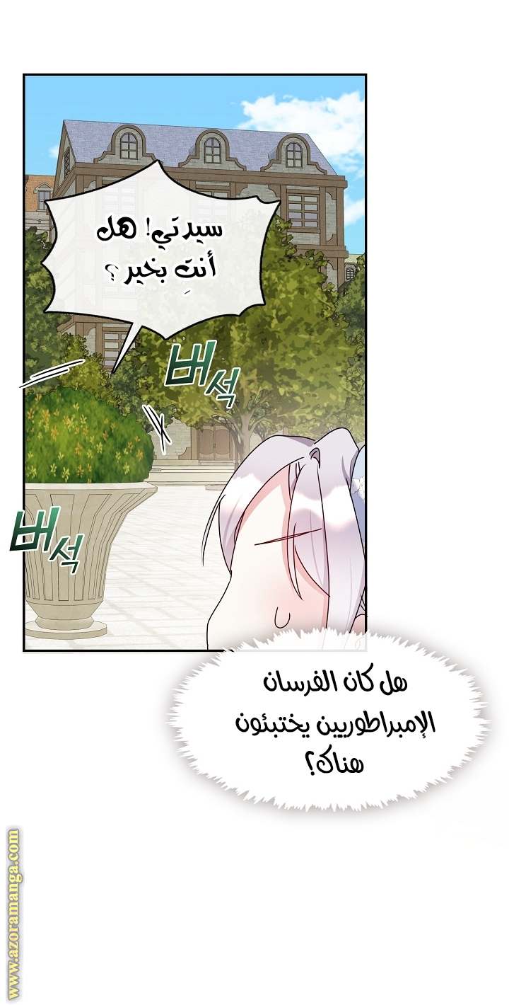 الصفحة 39