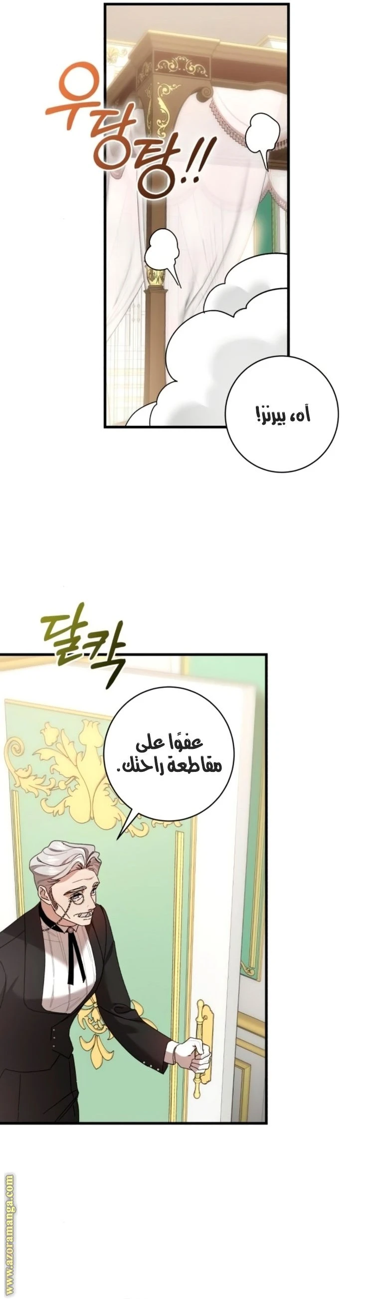 الصفحة 17