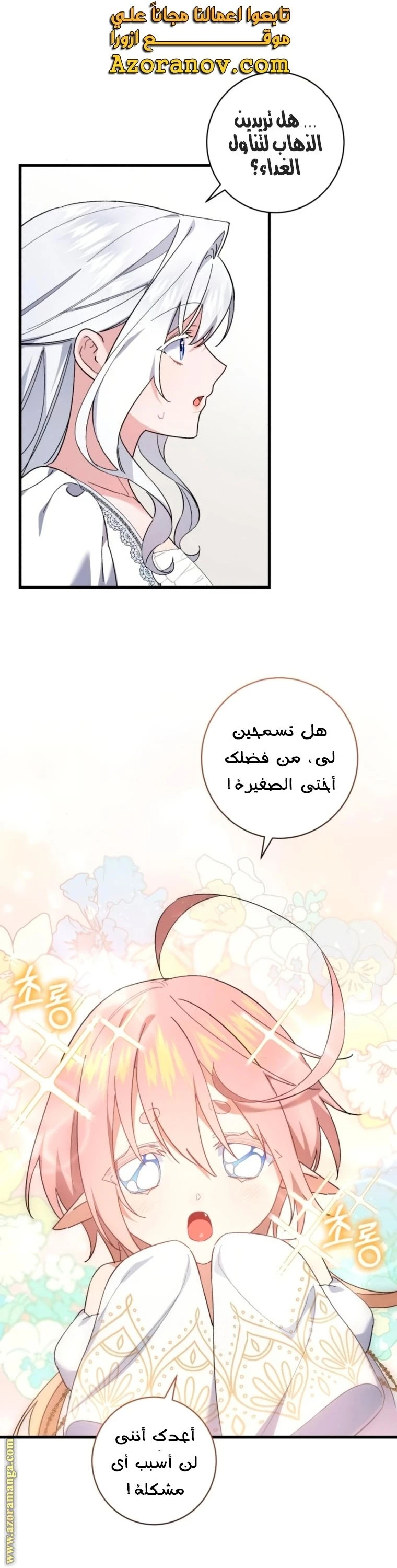 الصفحة 21