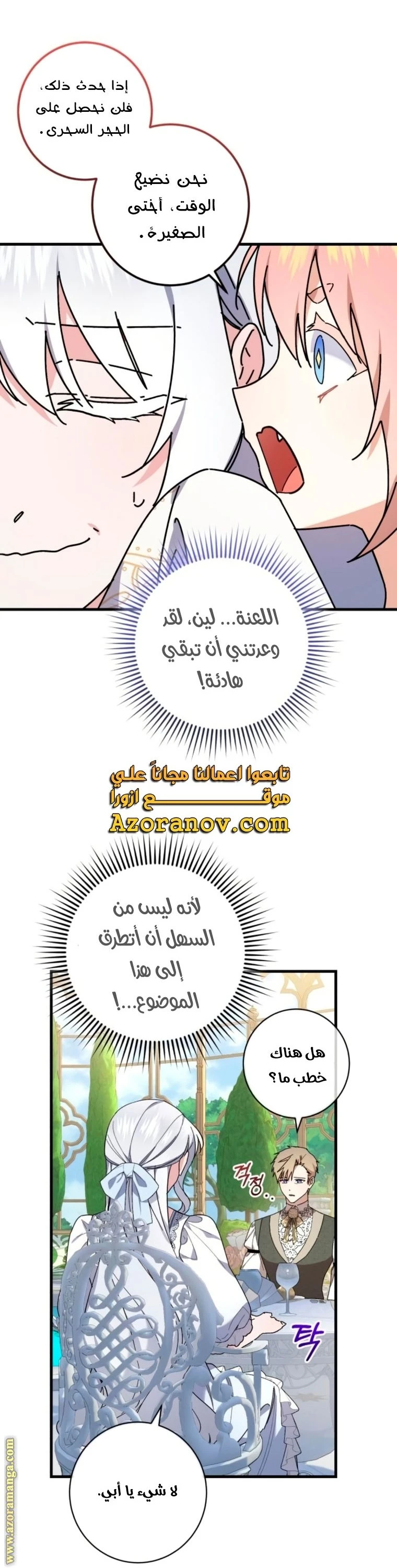 الصفحة 25