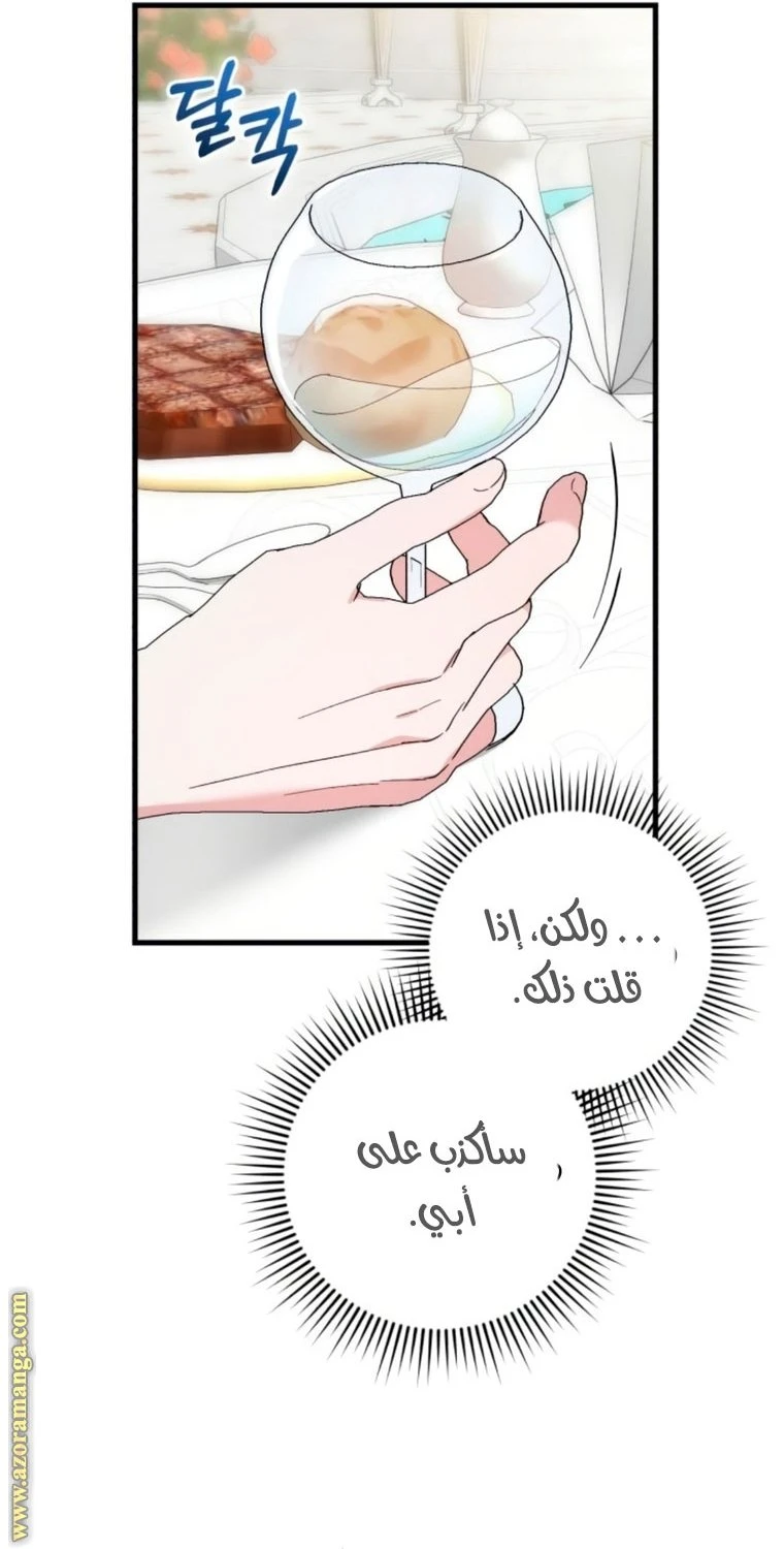 الصفحة 28