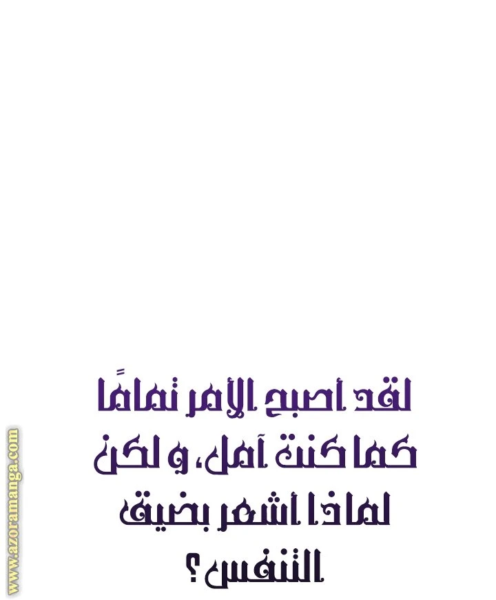الصفحة 38