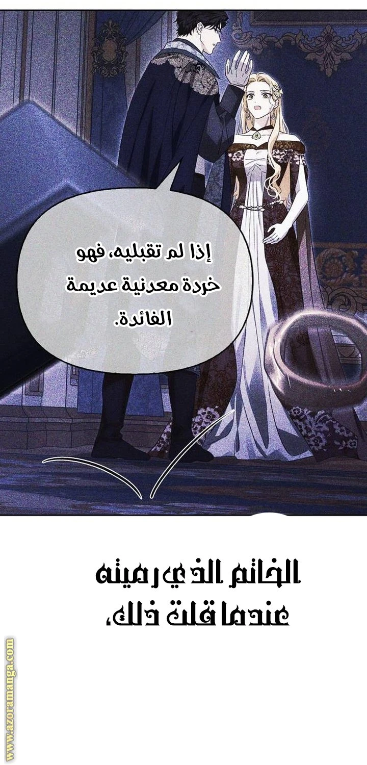 الصفحة 42