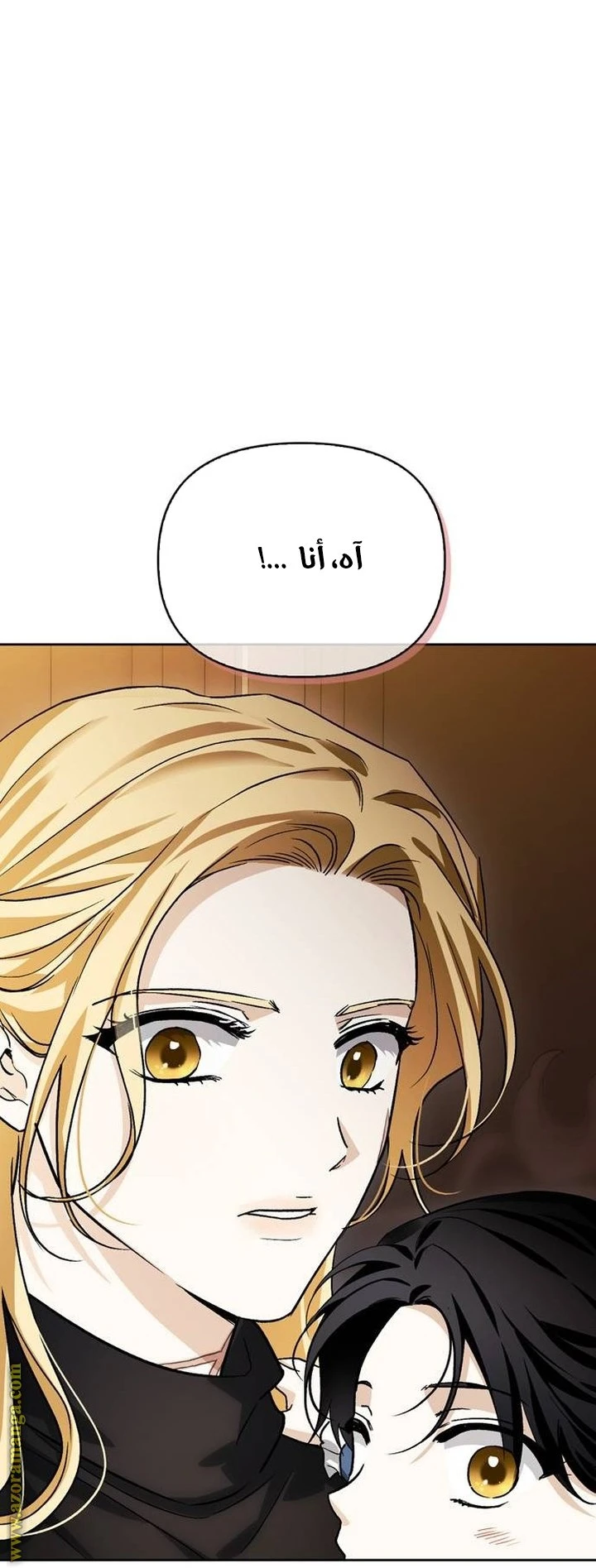 الصفحة 63