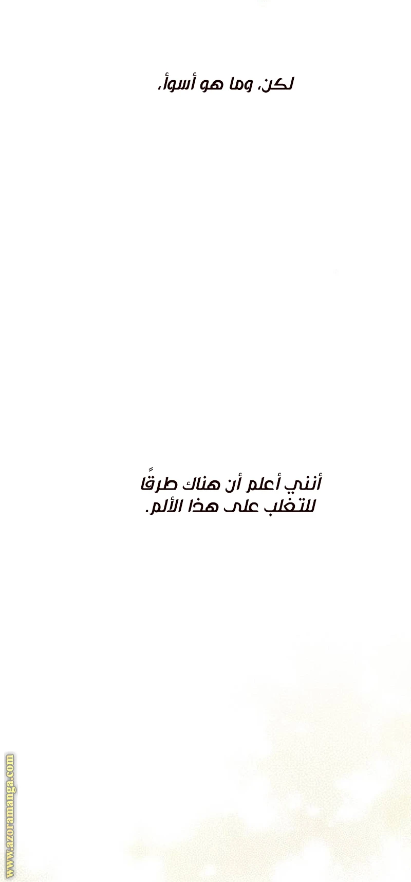 الصفحة 12