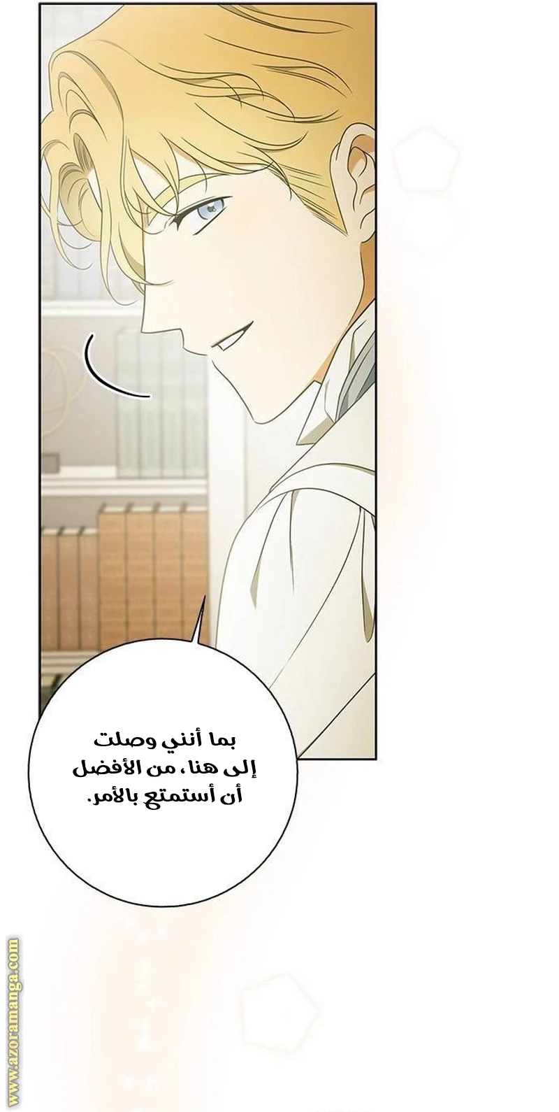 الصفحة 27