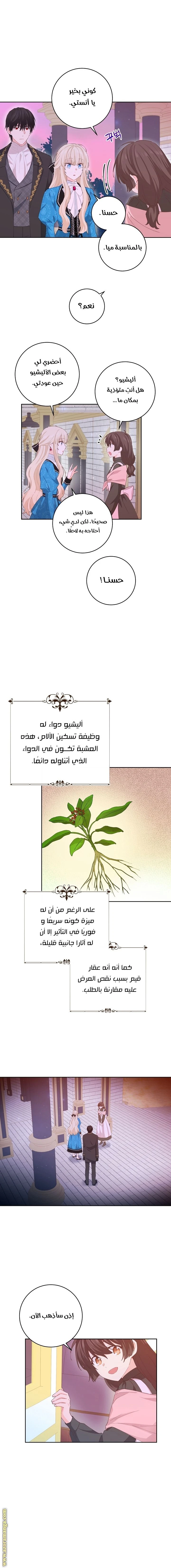 الصفحة 8