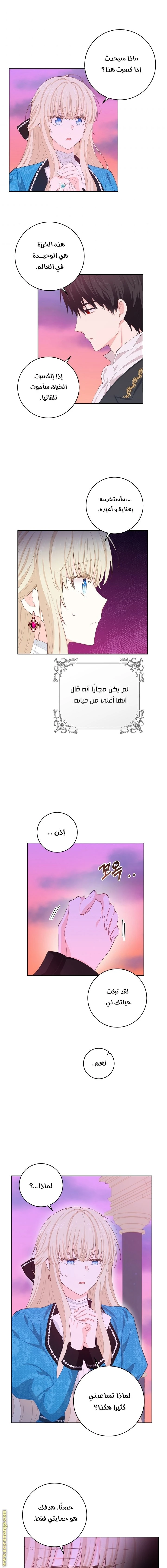 الصفحة 11