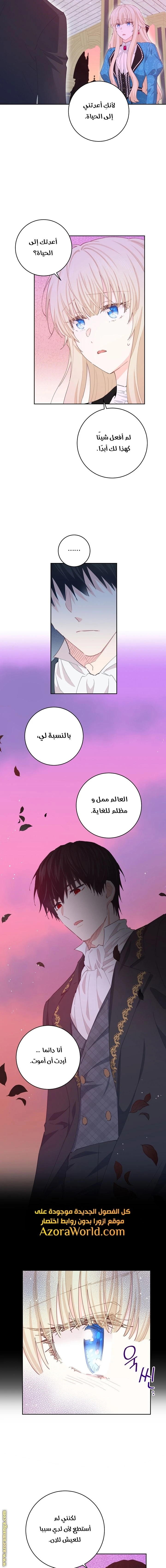 الصفحة 13