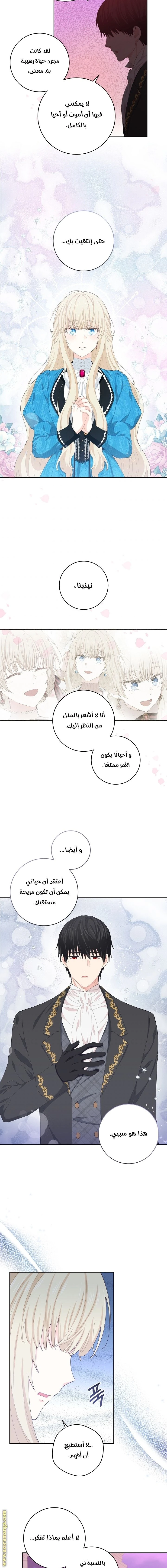 الصفحة 14