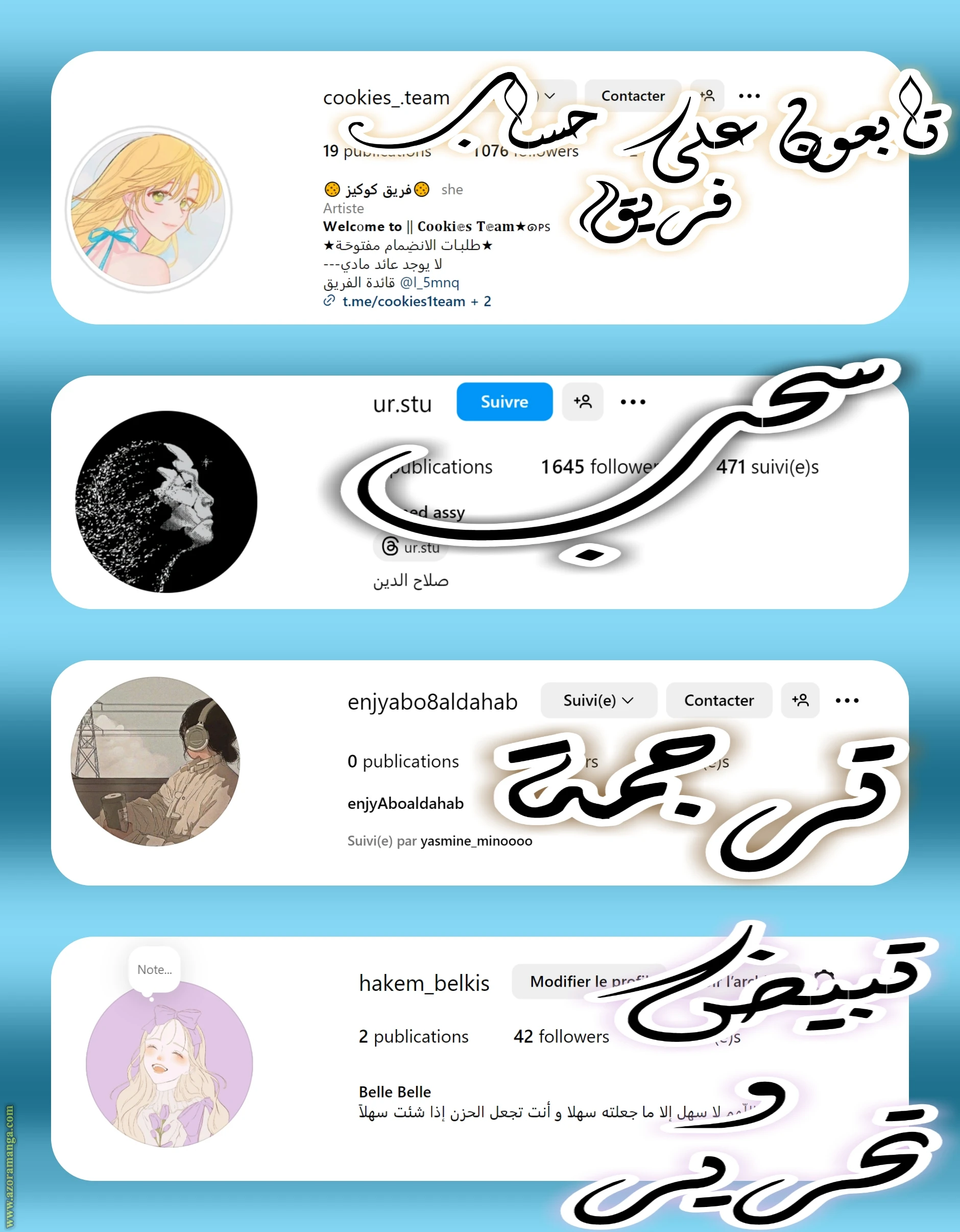 الصفحة 12