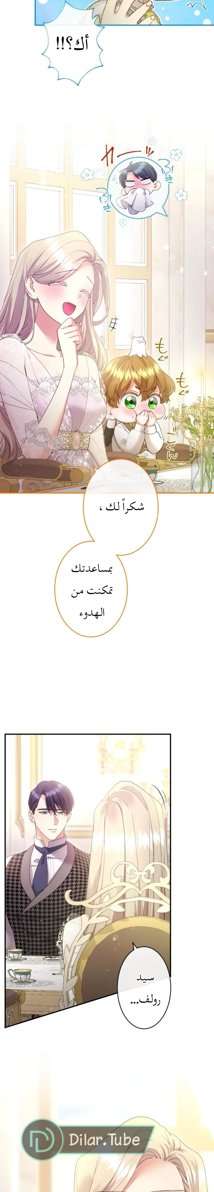 الصفحة 11