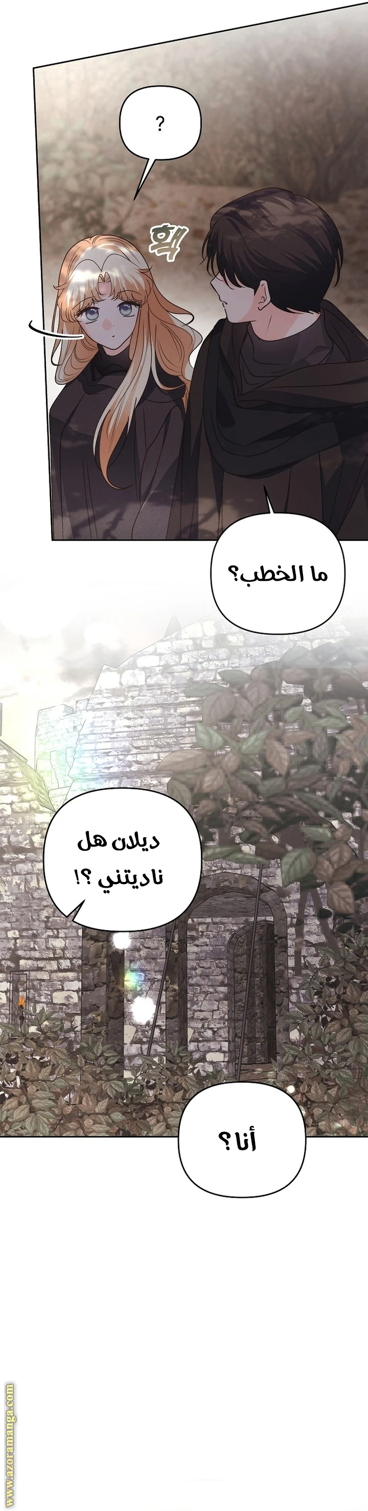 الصفحة 3