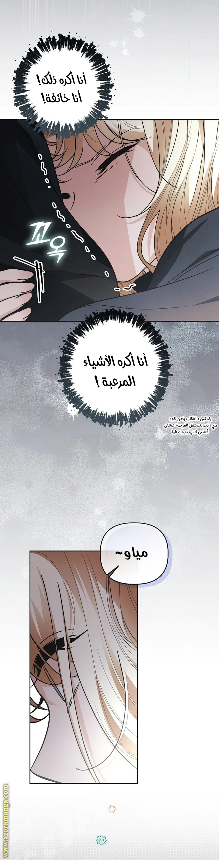 الصفحة 24