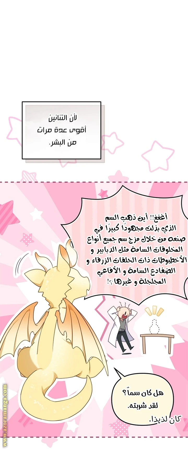 الصفحة 12