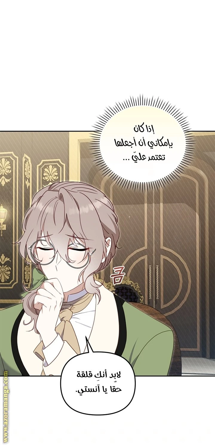 الصفحة 17