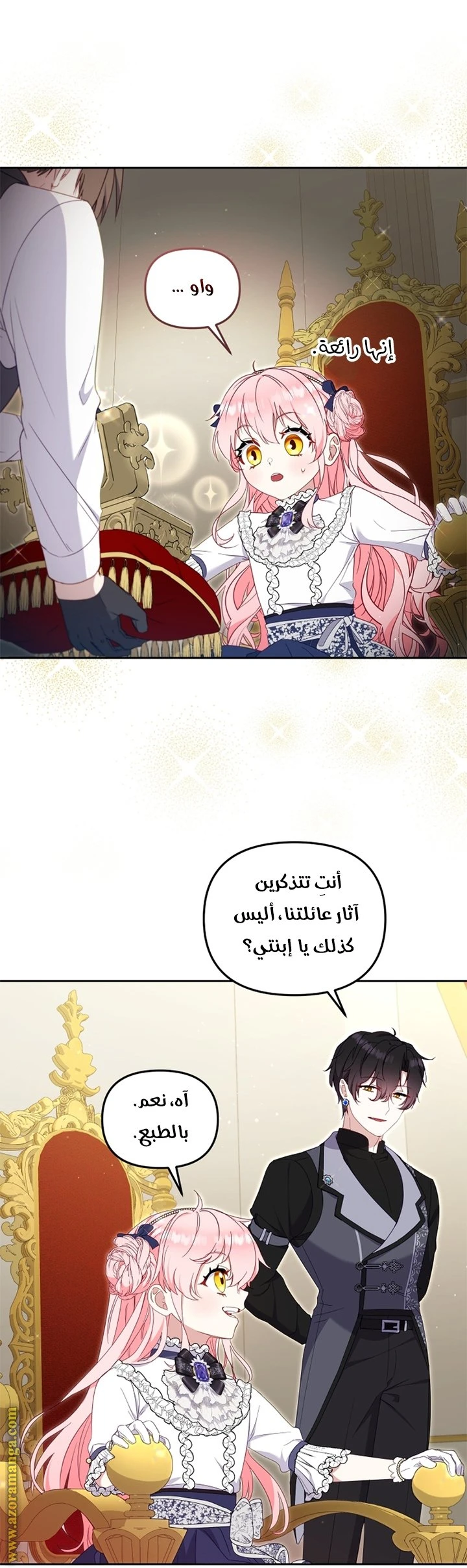 الصفحة 25