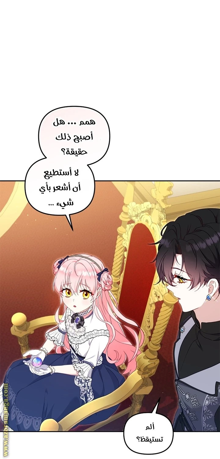 الصفحة 31