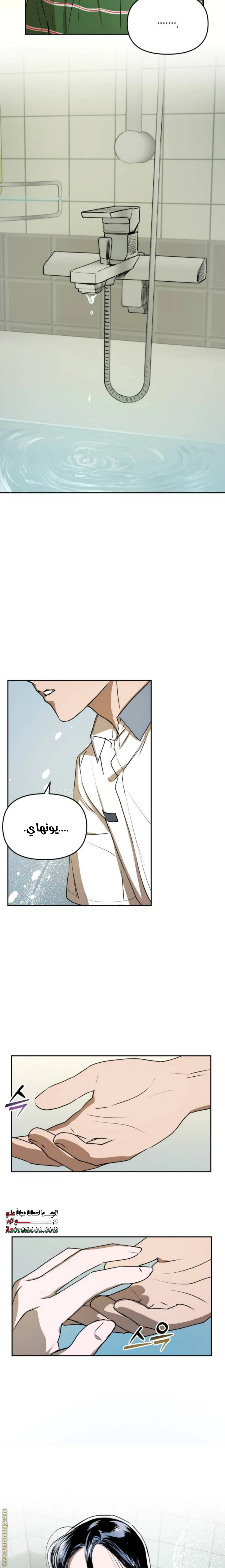 الصفحة 13