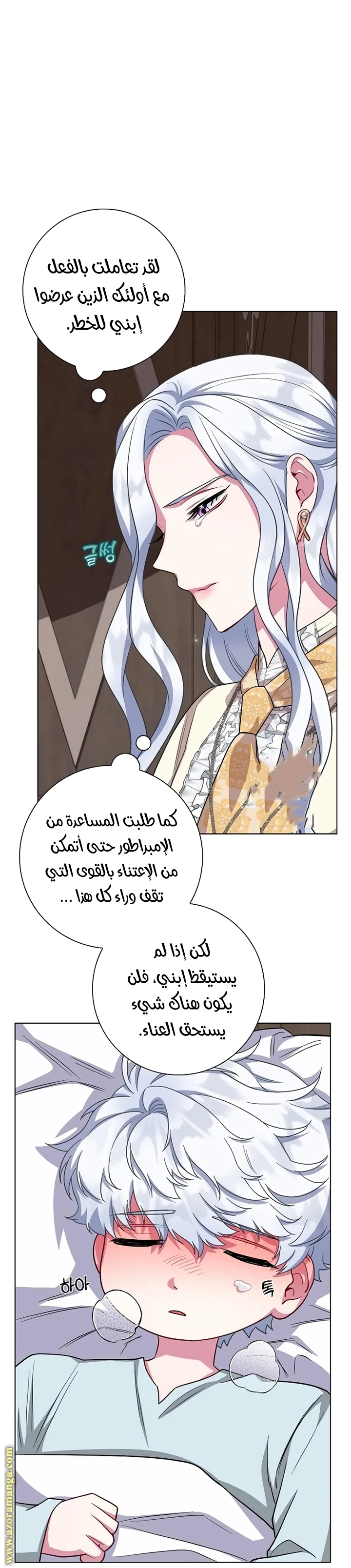 الصفحة 24