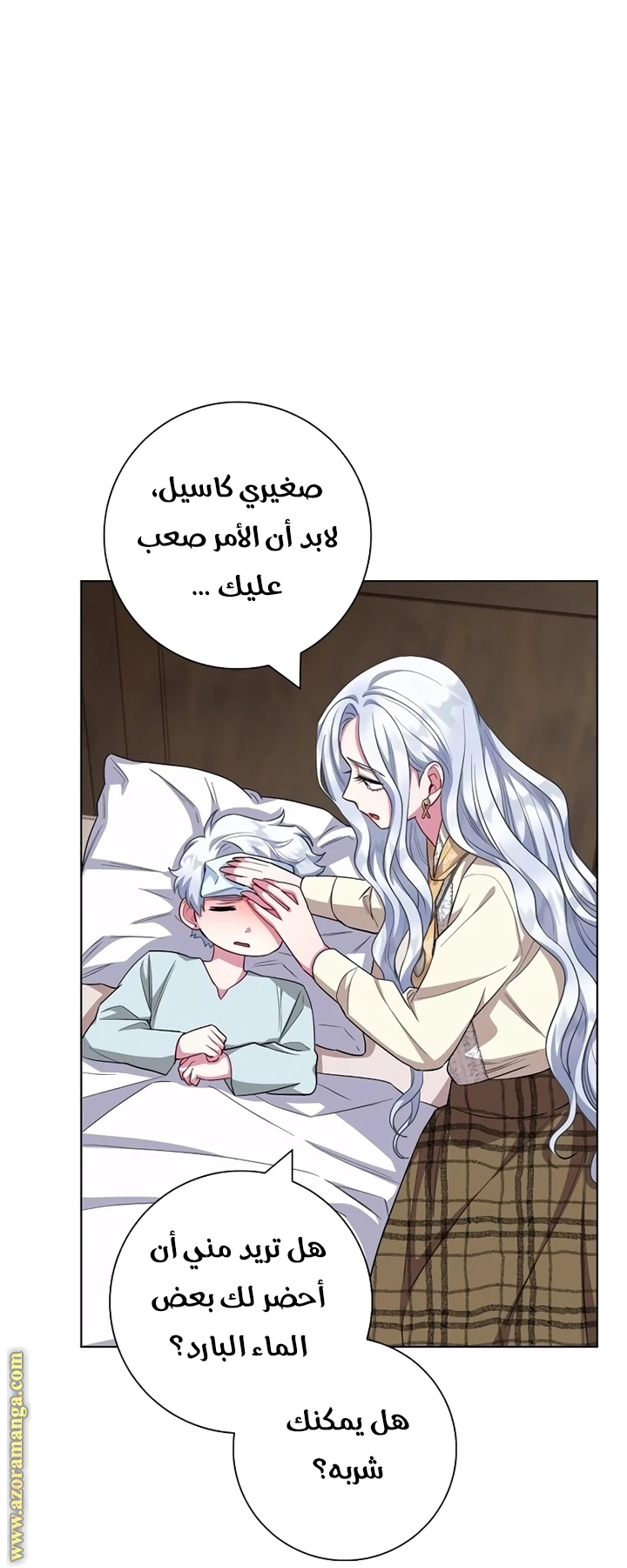 الصفحة 27