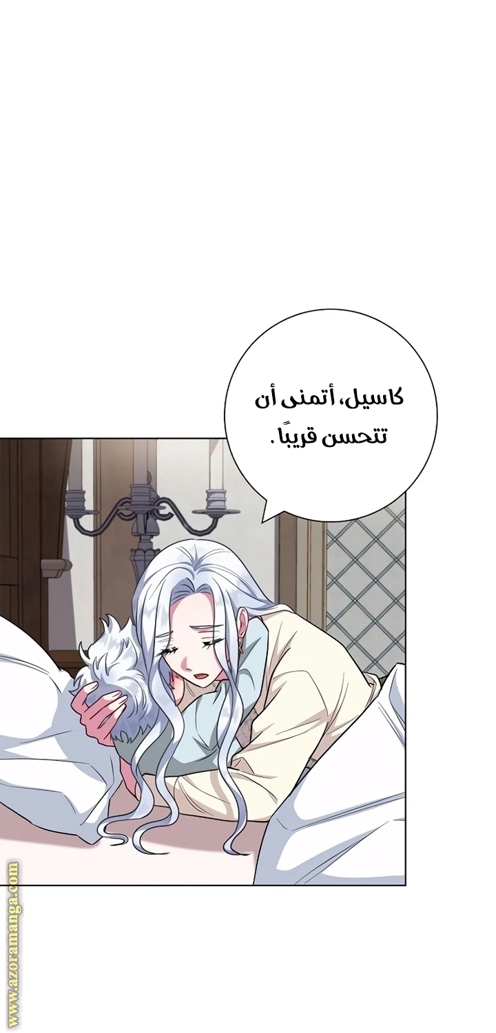الصفحة 29