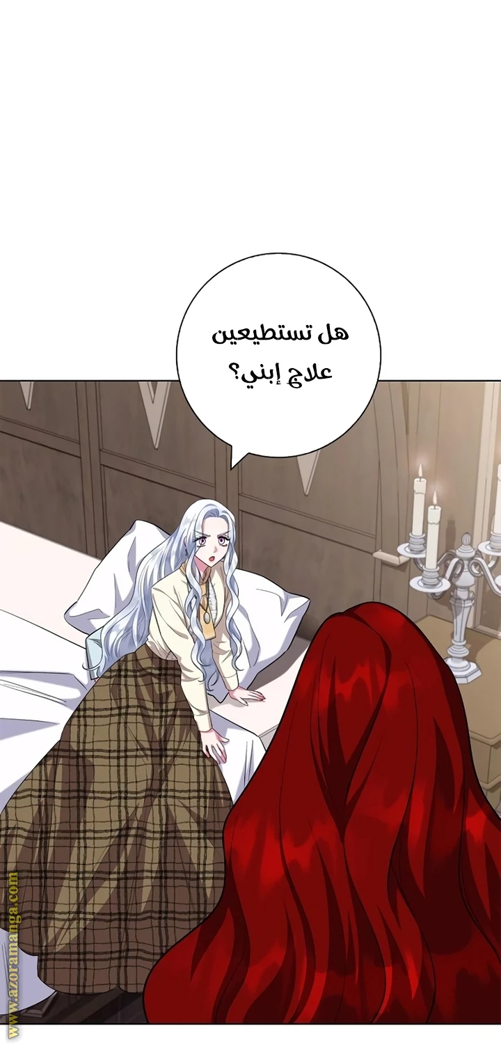 الصفحة 42