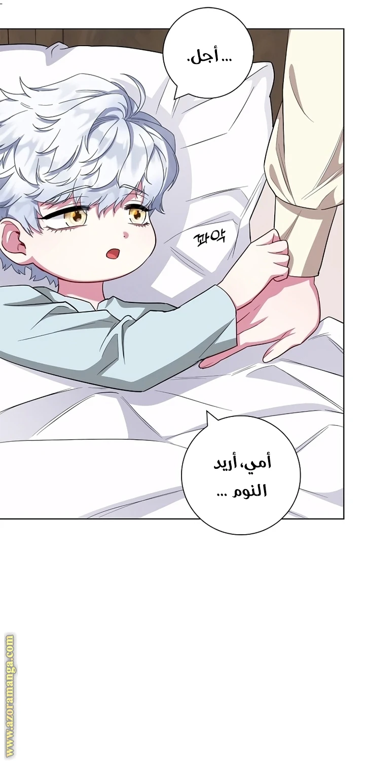 الصفحة 47