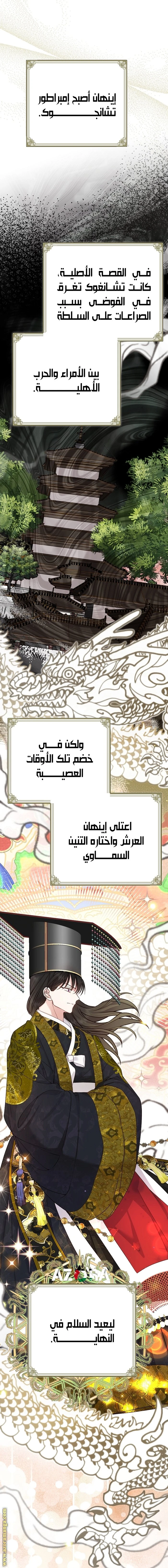الصفحة 14