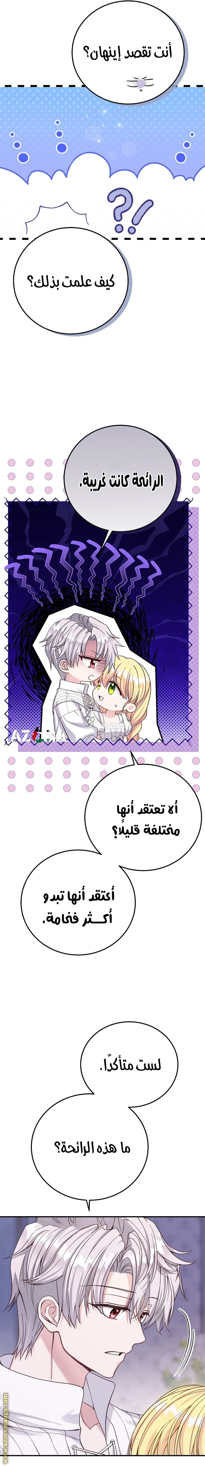 الصفحة 24