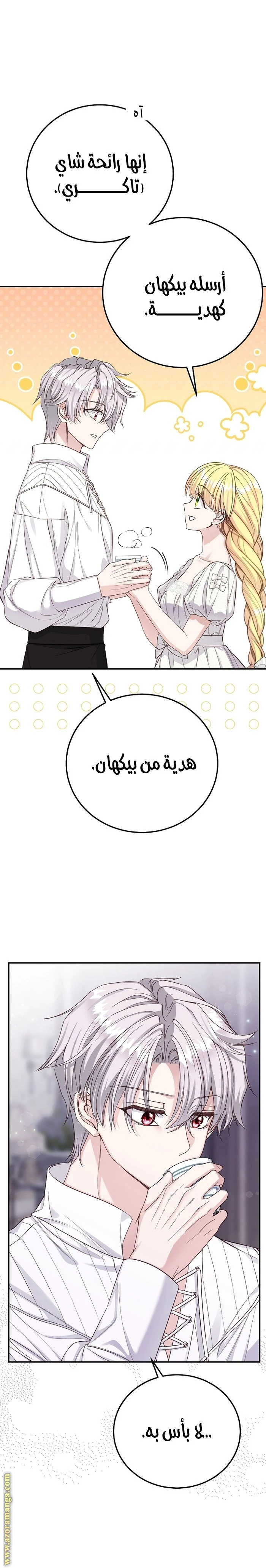 الصفحة 25