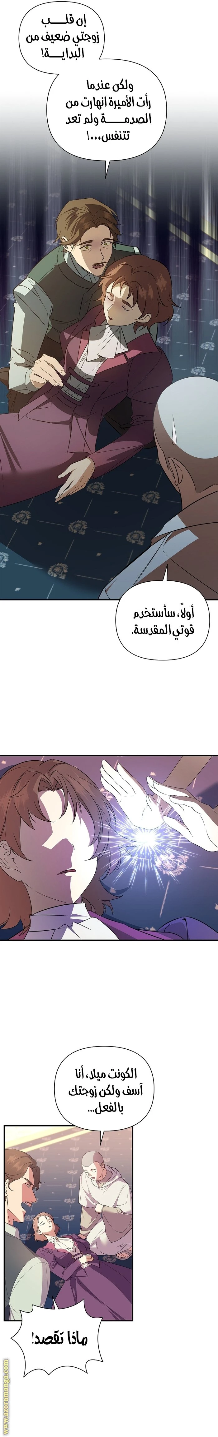 الصفحة 19