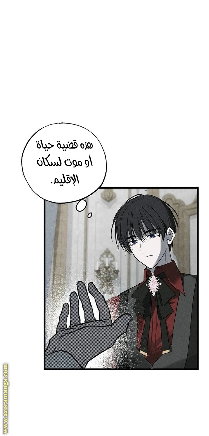 الصفحة 24