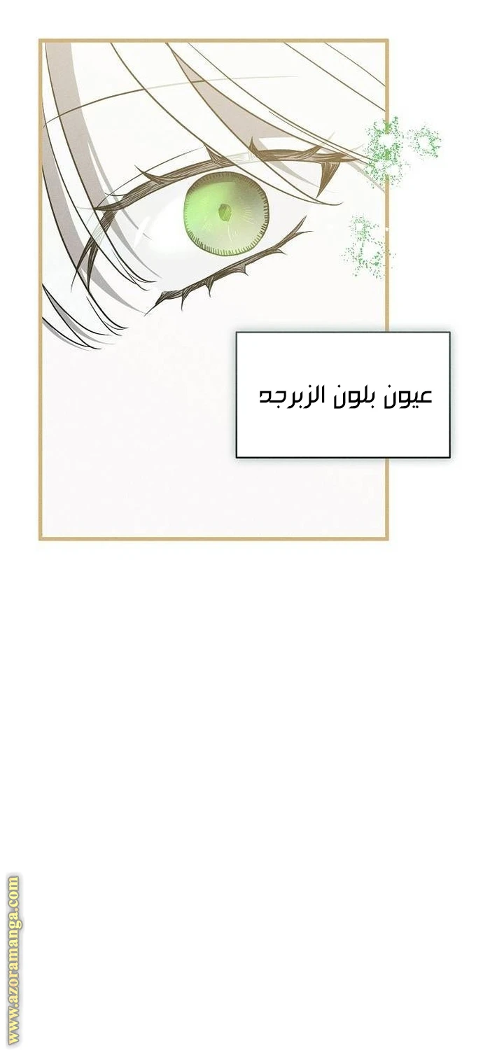 الصفحة 33